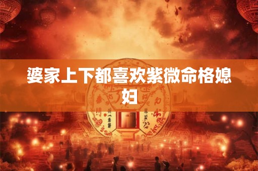 婆家上下都喜欢紫微命格媳妇