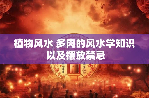 植物风水 多肉的风水学知识 以及摆放禁忌