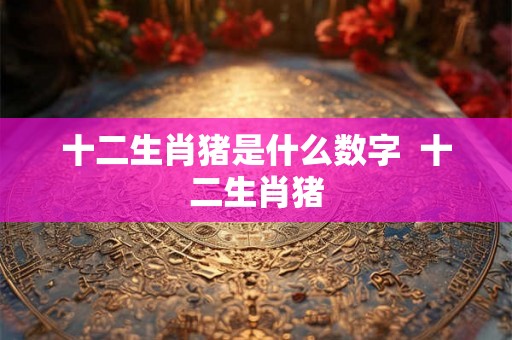 十二生肖猪是什么数字  十二生肖猪