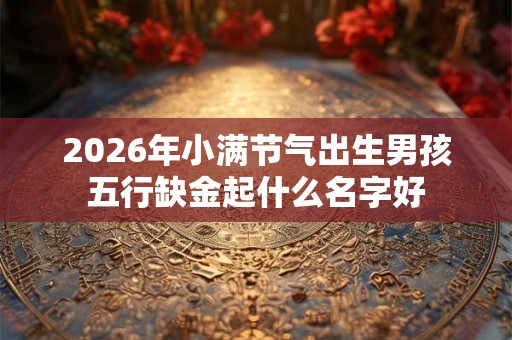 2026年小满节气出生男孩五行缺金起什么名字好 2026年小满节气出生男孩五行缺金起什么名字好