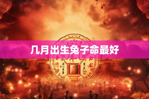 几月出生兔子命最好