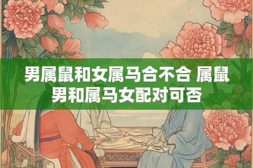 男属鼠和女属马合不合 属鼠男和属马女配对可否