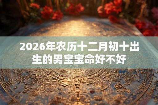 2026年农历十二月初十出生的男宝宝命好不好