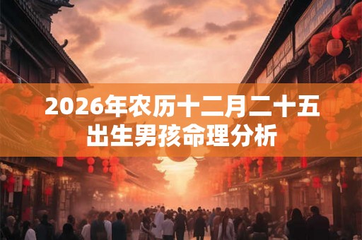 2026年农历十二月二十五出生男孩命理分析