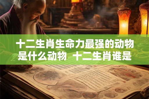 十二生肖生命力最强的动物是什么动物  十二生肖谁是洞肖