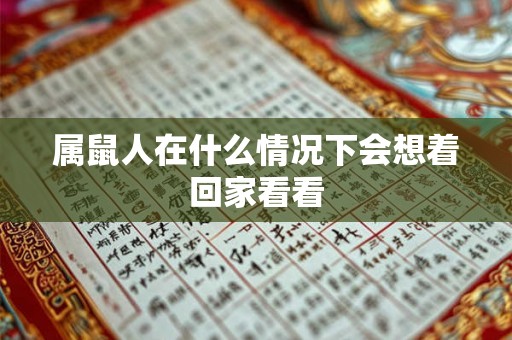 属鼠人在什么情况下会想着回家看看