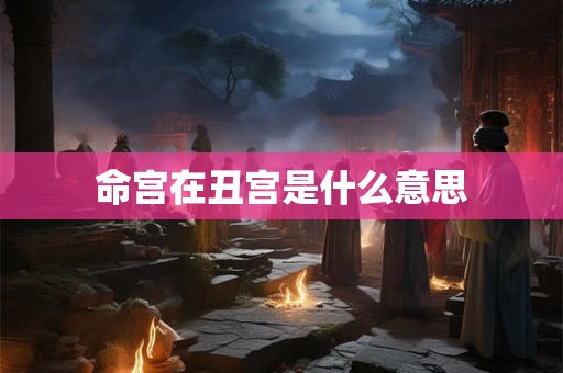 命宫在丑宫是什么意思