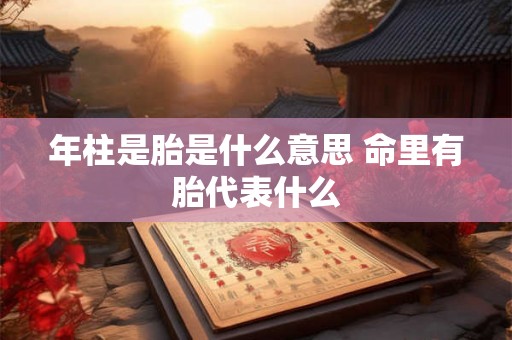 年柱是胎是什么意思 命里有胎代表什么