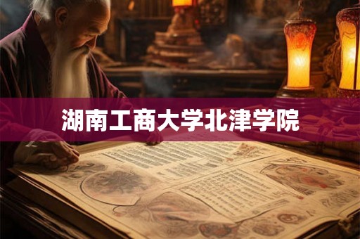湖南工商大学北津学院