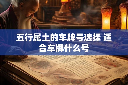 五行属土的车牌号选择 适合车牌什么号