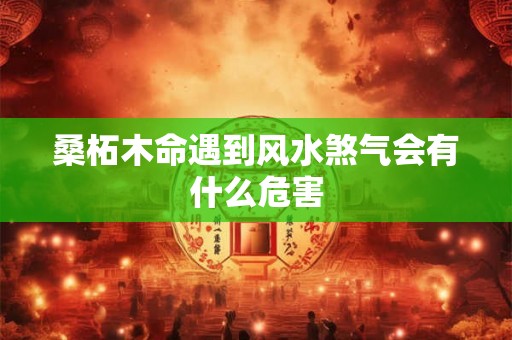 桑柘木命遇到风水煞气会有什么危害 桑柘木命遇到风水煞气会有什么危害