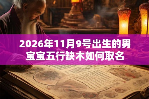 2026年11月9号出生的男宝宝五行缺木如何取名