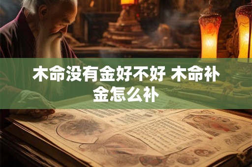 木命没有金好不好 木命补金怎么补