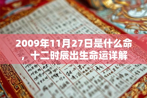 2009年11月27日是什么命，十二时辰出生命运详解