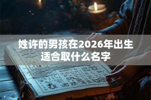 姓许的男孩在2026年出生适合取什么名字