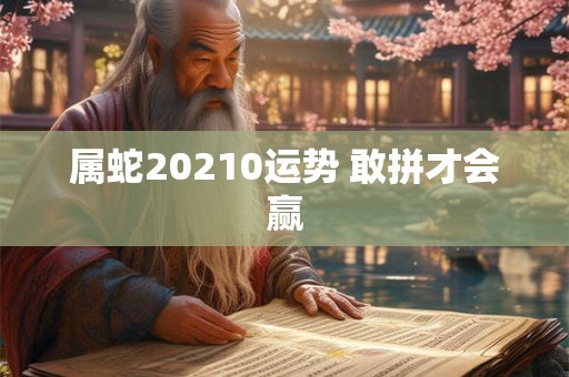 属蛇20210运势 敢拼才会赢