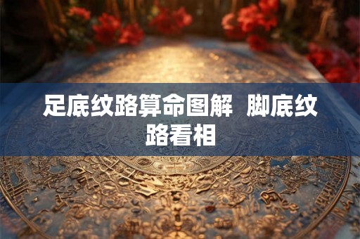 足底纹路算命图解  脚底纹路看相