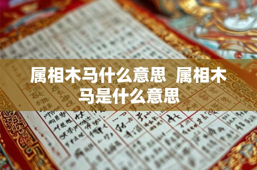 属相木马什么意思  属相木马是什么意思