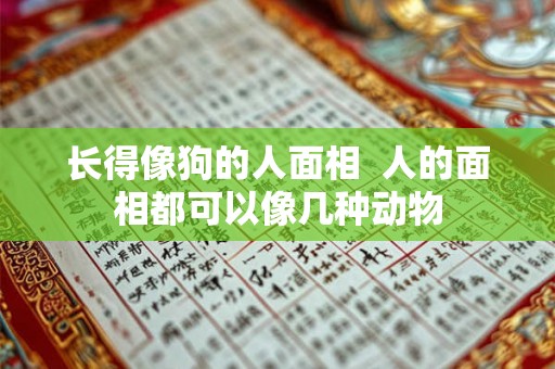 长得像狗的人面相 人的面相都可以像几种动物 长得像狗的人面相 人的面相都可以像几种动物