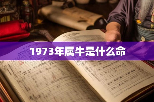 1973年属牛是什么命