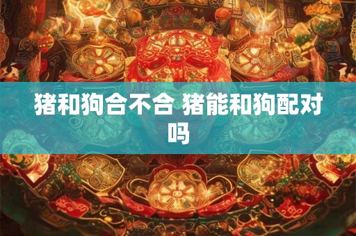 猪和狗合不合 猪能和狗配对吗 猪和狗合不合 猪能和狗配对吗