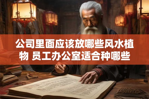 公司里面应该放哪些风水植物 员工办公室适合种哪些风水植物