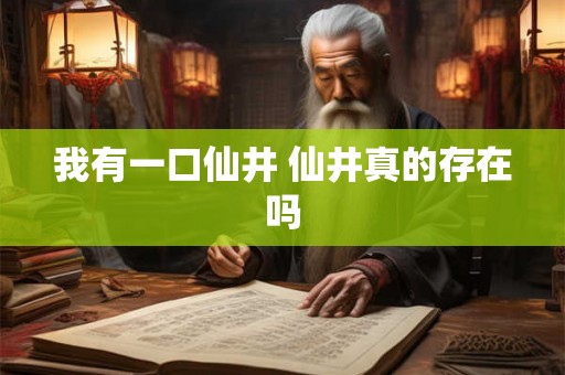 我有一口仙井 仙井真的存在吗