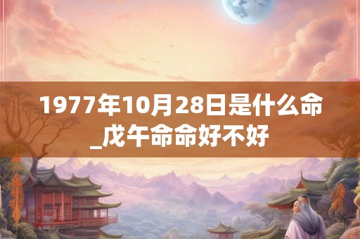 1977年10月28日是什么命_戊午命命好不好