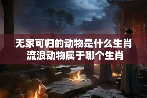 无家可归的动物是什么生肖 流浪动物属于哪个生肖