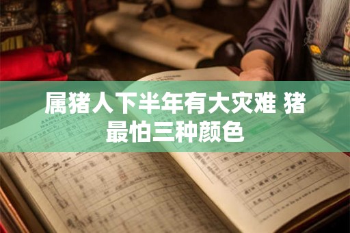 属猪人下半年有大灾难 猪最怕三种颜色