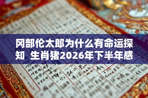 冈部伦太郎为什么有命运探知  生肖猪2026年下半年感情运势