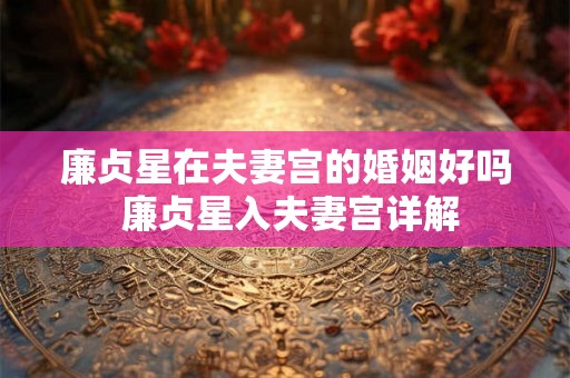 廉贞星在夫妻宫的婚姻好吗 廉贞星入夫妻宫详解 廉贞星在夫妻宫的婚姻好吗 廉贞星入夫妻宫详解