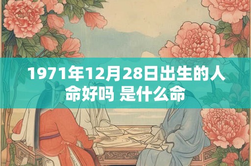 1971年12月28日出生的人命好吗 是什么命