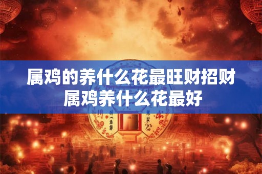 属鸡的养什么花最旺财招财 属鸡养什么花最好 属鸡的养什么花最旺财招财 属鸡养什么花最好