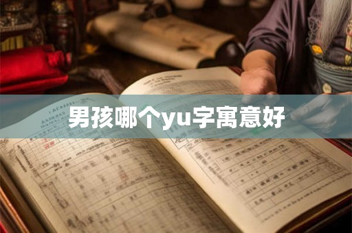 男孩哪个yu字寓意好