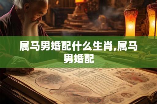 属马男婚配什么生肖,属马男婚配