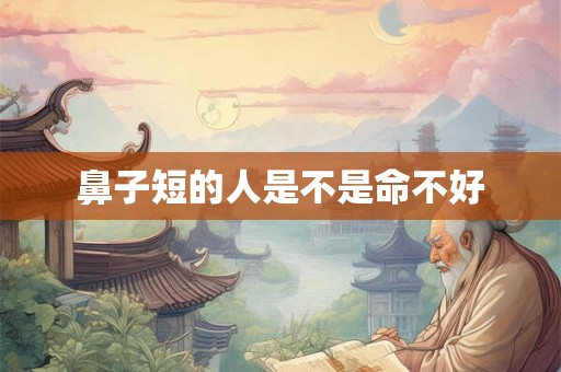 鼻子短的人是不是命不好
