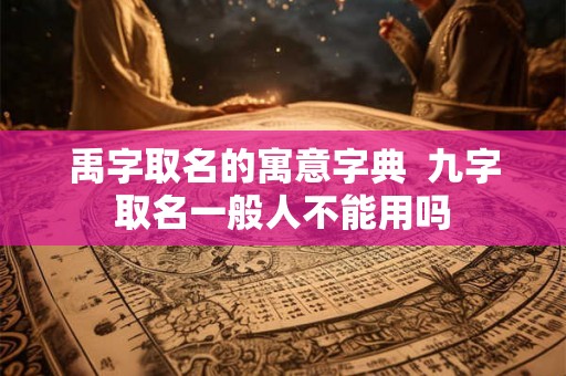 禹字取名的寓意字典  九字取名一般人不能用吗