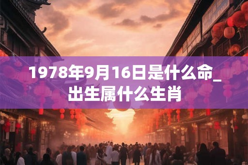 1978年9月16日是什么命_出生属什么生肖