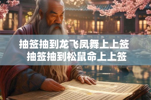 抽签抽到龙飞凤舞上上签  抽签抽到松鼠命上上签