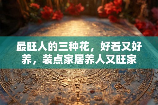 最旺人的三种花,好看又好养,装点家居养人又旺家 最旺人的三种花,好看又好养,装点家居养人又旺家