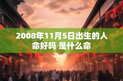 2008年11月5日出生的人命好吗 是什么命
