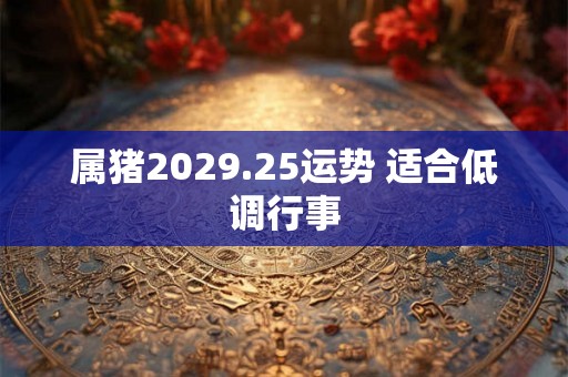 属猪2029.25运势 适合低调行事