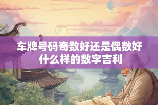 车牌号码奇数好还是偶数好 什么样的数字吉利