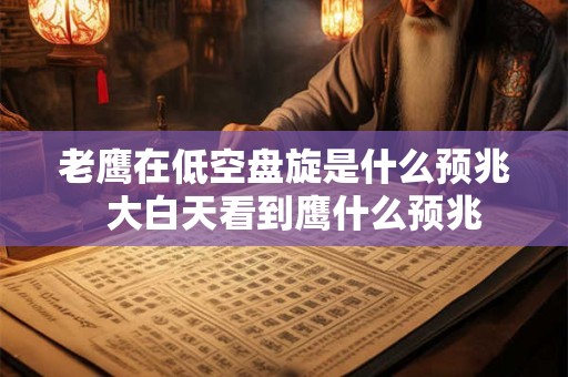 老鹰在低空盘旋是什么预兆  大白天看到鹰什么预兆