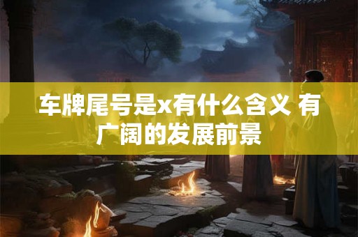 车牌尾号是x有什么含义 有广阔的发展前景