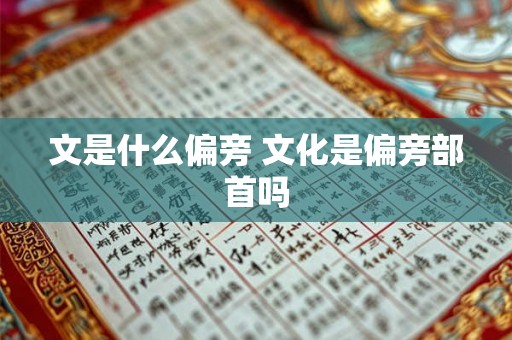 文是什么偏旁 文化是偏旁部首吗