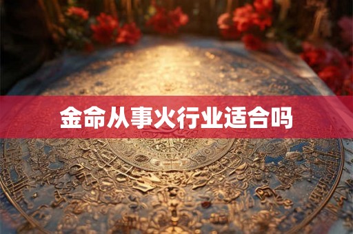 金命从事火行业适合吗