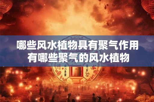 哪些风水植物具有聚气作用 有哪些聚气的风水植物