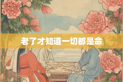 老了才知道一切都是命